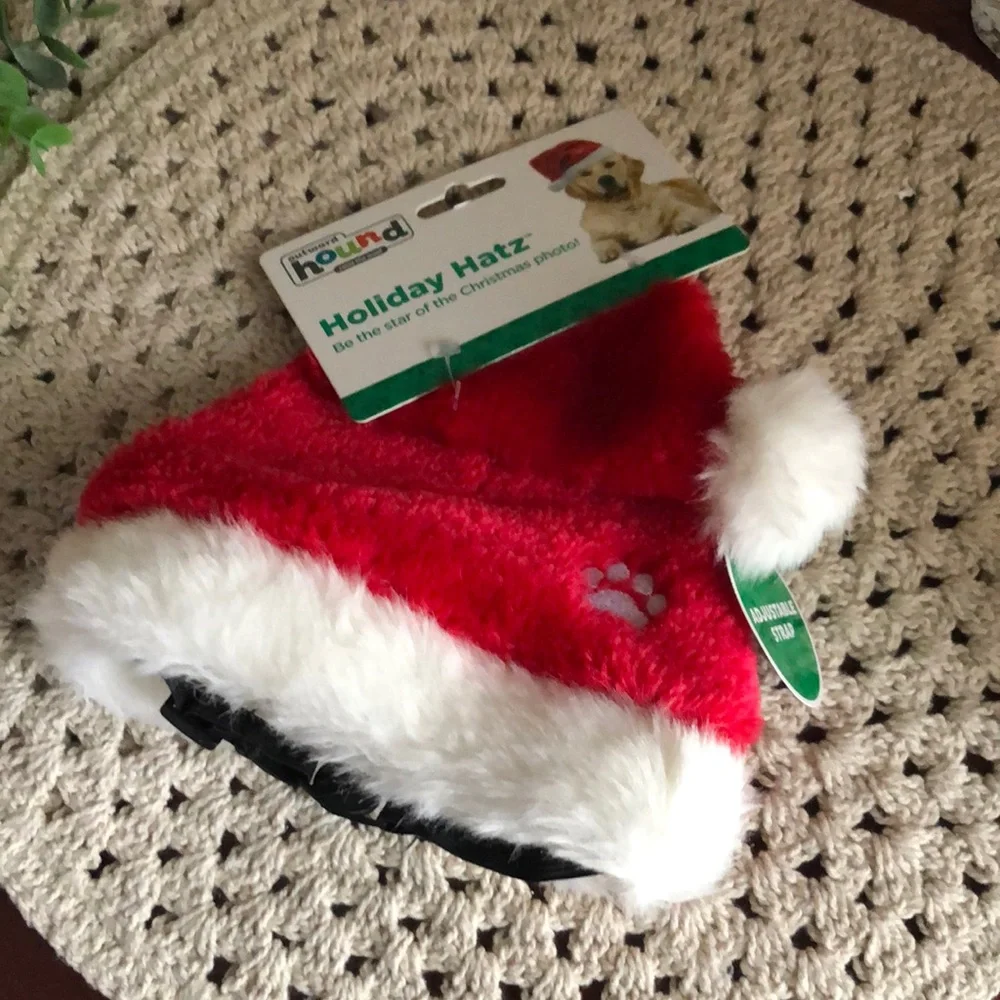 Christmas Holiday Santa Dog Hat